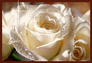 FlEuR